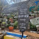 (주)포레스트 카라반 파크 | 마산 구산면 펜션 더숨포레스트 카라반 오토캠핑 1박2일 오션뷰 힐링여행