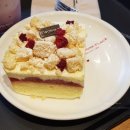 투썸플레이스 대전대서문점 | [대전 동구 카페 추천] &#34;투썸 대전대 서문점&#34; 방문 후기! (feat. 투썸 메뉴 추천 : 블루베리 요거트...