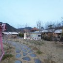 계룡산글램핑파크오브드림 이미지