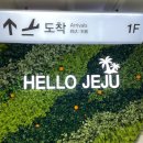 포동정식도청점 | [제주맛집] 제주 공항 근처 &#39;포동정식 도청점&#39; 내돈내산 방문 후기, 현지인 한식 맛집 추천