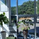 차사랑자동차정비공업사 이미지