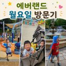에버그림 | 어린이집 하원 후 에버랜드 방문후기 모든 놀이기구 10분 컷