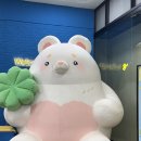 벌말로50번길 이미지