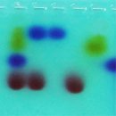 영동싸이언스 이미지