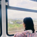 시흥시동물누리보호센터 동물병원 | 유기견 자원봉사 후기 [시흥시 동물누리 보호센터]