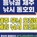 개포1세천 이미지