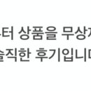벨리스플라워