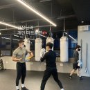 베스트복싱짐 이미지