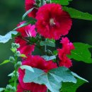 오곡농장 이미지