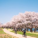 초록초록 가드닝 이미지