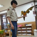 9월 2주 [찾아오는 동물원] 청금강 앵무. 이미지