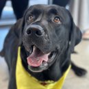 로이병원 이미지