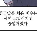 3번마트