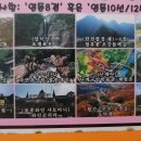 영동튼튼정형외과의원 이미지