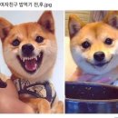 룰루랄라