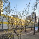 참(charm)행정사 사무소 이미지