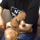 이호동물병원 이미지