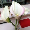 화림농장 이미지