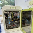 강아지풀 애견 | 광교 애견셀프목욕 진이네 강아지풀 &amp; 레나독 애견샴푸 트리트먼트 사용 후기