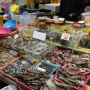 부두회수산 | 연안부두 수산시장 부부수산 후기🦐 새우·광어회 한상차림 (feat. 백화수복)