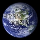 <8월18일에서 8월 26일 까지> 중성지방과 콜레스테롤,아디포카인, 렙틴,그렐린, 이미지