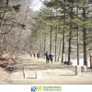산월목장 네이버블로그