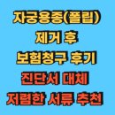 파리바게뜨청구점 | 자궁용종(폴립)제거로 200만 보험 청구받은 실제 후기와 보험금 청구 서류 list(진단서 대신 추천 서류)