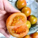 마켓토마토 이미지