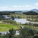 솔라시도 이미지