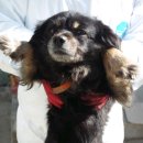 어곡공단로 이미지