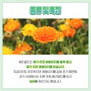 주황농장 이미지