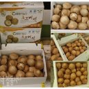 영농조합법인 물향기농산 | [마을기업박람회] 생표고버섯 건표고버섯 재배하는 영농조합법인 물향기농산