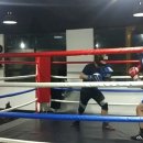 와룡 다이어트 복싱 이미지