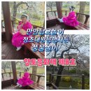 안양만안답교놀이 | 안양만안답교놀이 발표회 정조대왕능행차등 풍물놀이 향토문화재 제8호