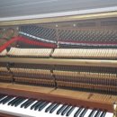 장유 e-편한세상 이미지