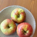 홍제원농장 이미지