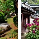 내맘대로 세계여행 이미지