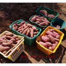 이일농장 이미지