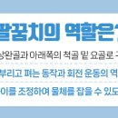 서울 튼튼 연합의원 이미지