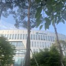 판교로289번길 이미지