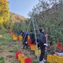 내촌면행정복지센터 이미지