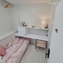 파루스셀라종로 | [서울 종로구 종로 고시원 원룸텔 고시텔 추천] 파루스셀라 종로 심플룸으로 쾌적한 숙소