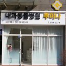 내과동물병원 루미나 | 내과동물병원 루미나가 알려주는 강아지 만성 췌장염 증상, 원인부터 관리법까지