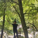 유배지 민박 이미지