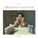 주식회사 아이오알코리아 | 햇풀먹인요거트 후기, 락토프리 목초요거트 딸기요거트 블루베리요거트 추천