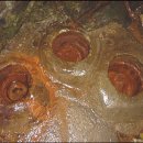 매표소앞약수 이미지