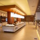 셰프스키친 이미지