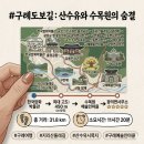 구례의길(남도이순신길) | 2026.05.23"[구례 100km 완주의 길] - 서시천 벚나무 터널 속의 힐링"