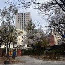 도와세움평생교육센터 이미지