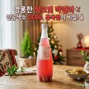 전이랑 막걸리 - 여수시 | 복순도가 빨간쌀 막걸리 가격, 구매처, 솔직 후기! 전이랑 찰떡궁합 홈파티 추천